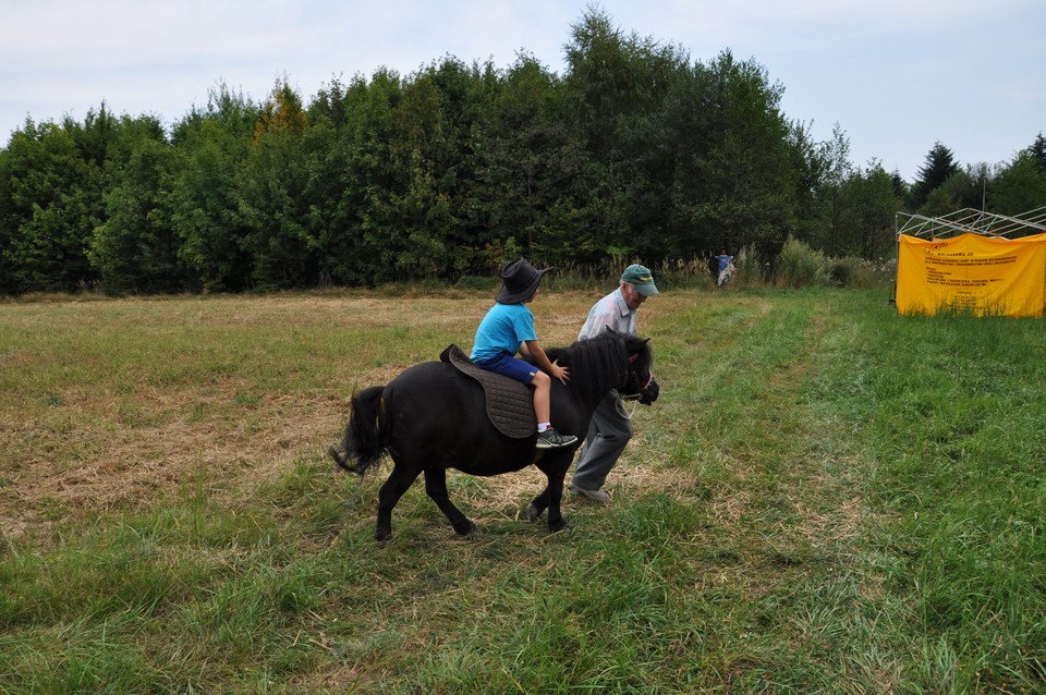 Piknik_Agromasz_sierpien_2015_21