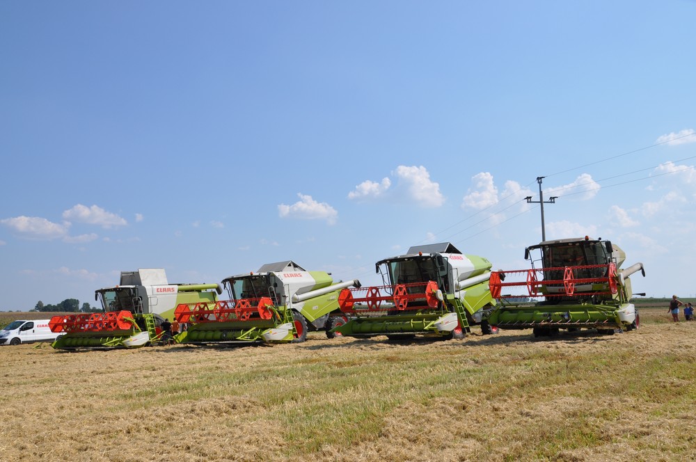 Pokaz_zniwny_kobajnami_CLAAS_1